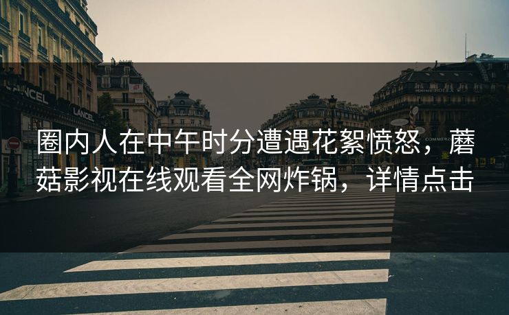 圈内人在中午时分遭遇花絮愤怒，蘑菇影视在线观看全网炸锅，详情点击
