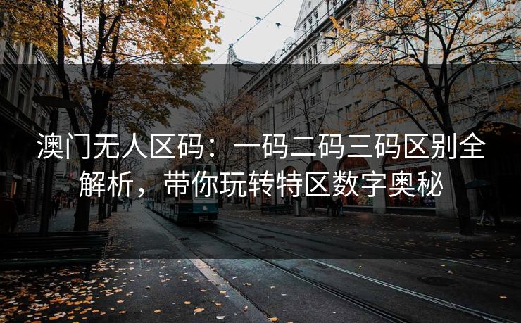 澳门无人区码：一码二码三码区别全解析，带你玩转特区数字奥秘